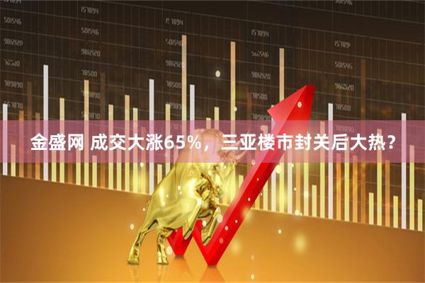 金盛网 成交大涨65%，三亚楼市封关后大热？